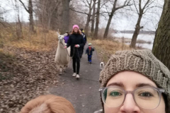 2021_12_19-15_43_47_42