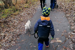 2021_12_19-15_44_47_43