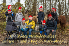 2021_12_19-15_50_01_44