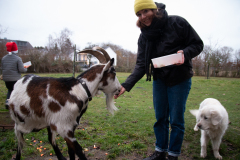 2021_12_19-16_31_12_57