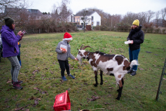 2021_12_19-16_31_27_58