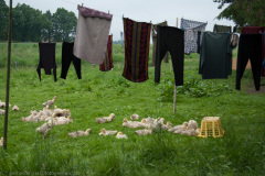 2009_05_31-12_17_23_1