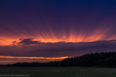 2016_07_12-21_04_35_21