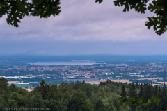 2016_07_15-13_55_00_24