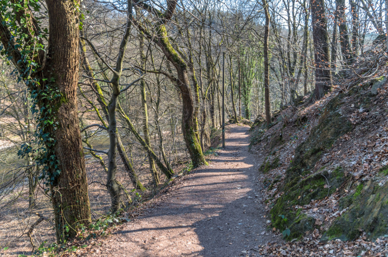 2022_03_10-12_27_55_7