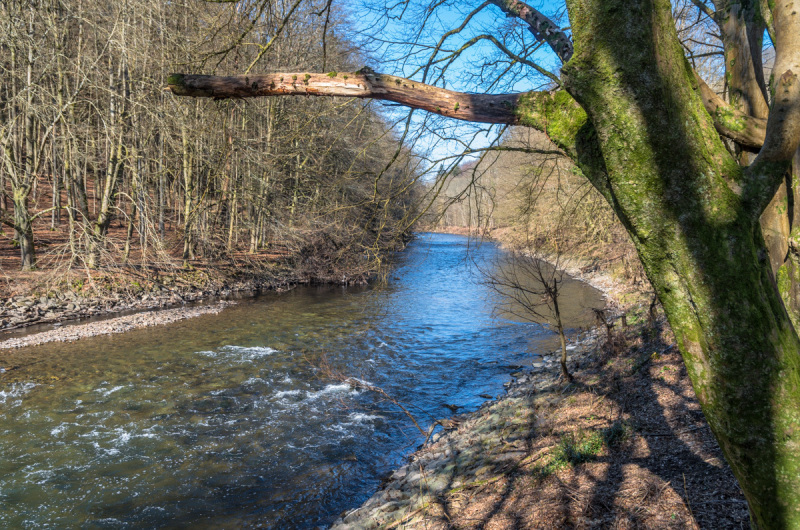 2022_03_10-12_56_25_13