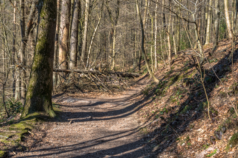 2022_03_10-13_58_46_19