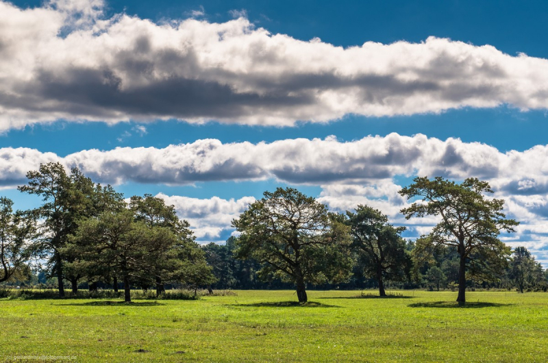 2016_09_06-10_54_38_3