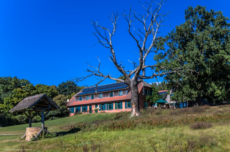 2016_09_06-14_57_19_19