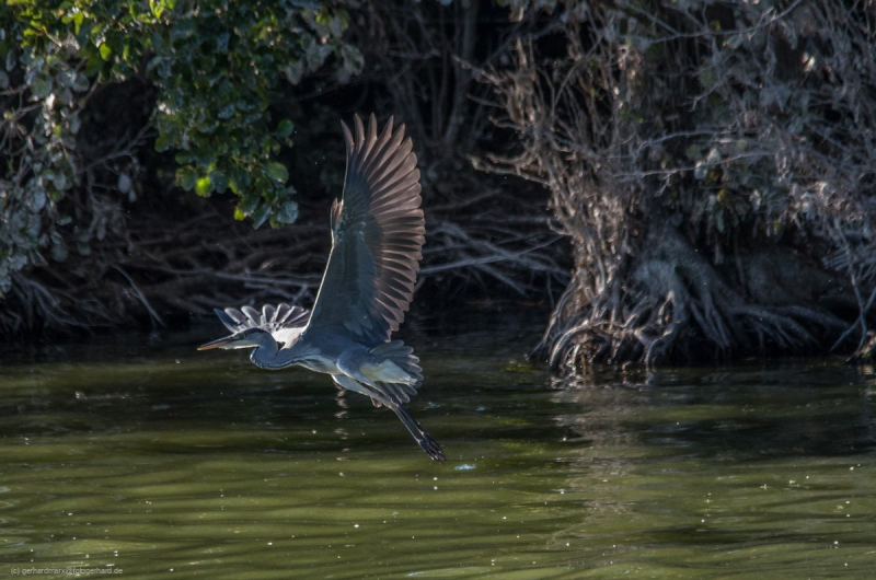 2016_09_06-16_29_20_21