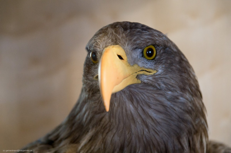 2016_09_08-12_14_59_47