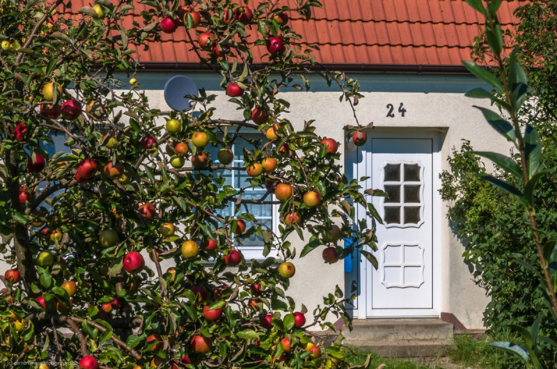 2016_09_08-14_44_34_57