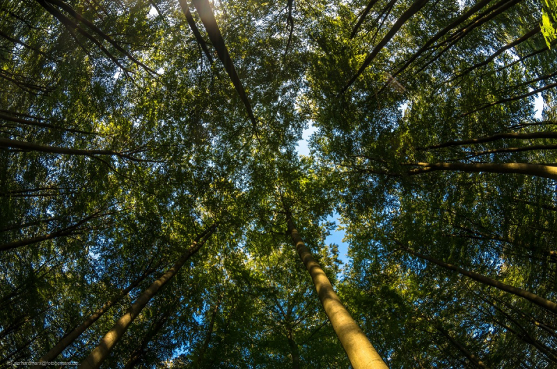 2016_09_08-16_53_10_64