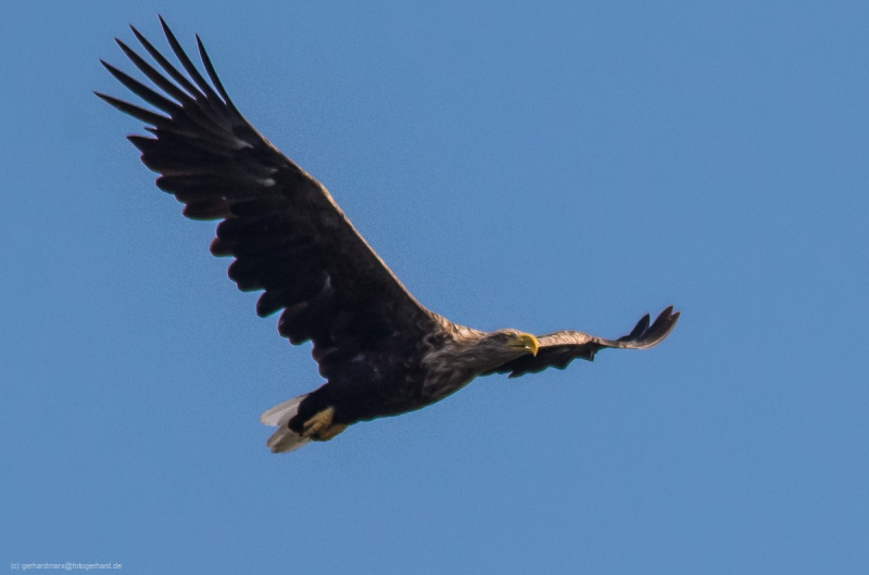 2016_09_09-13_26_19_31