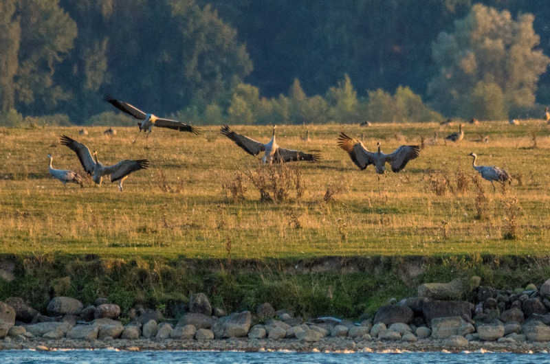 2016_09_09-19_07_53_5