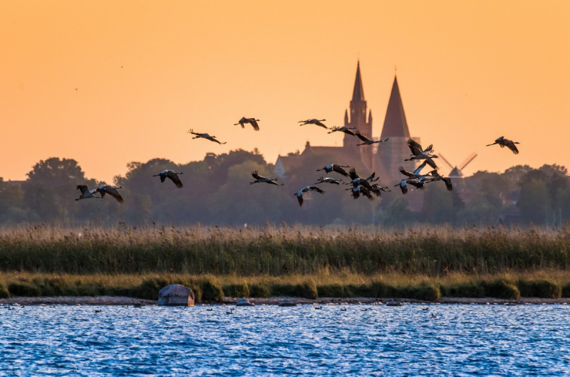 2016_09_09-19_10_52_6