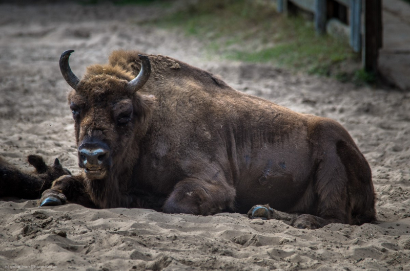 2016_09_11-13_17_43_5