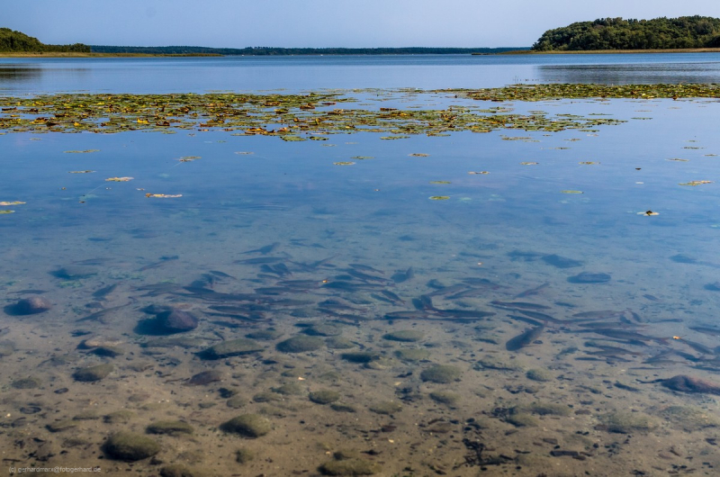 2016_09_11-14_07_48_15