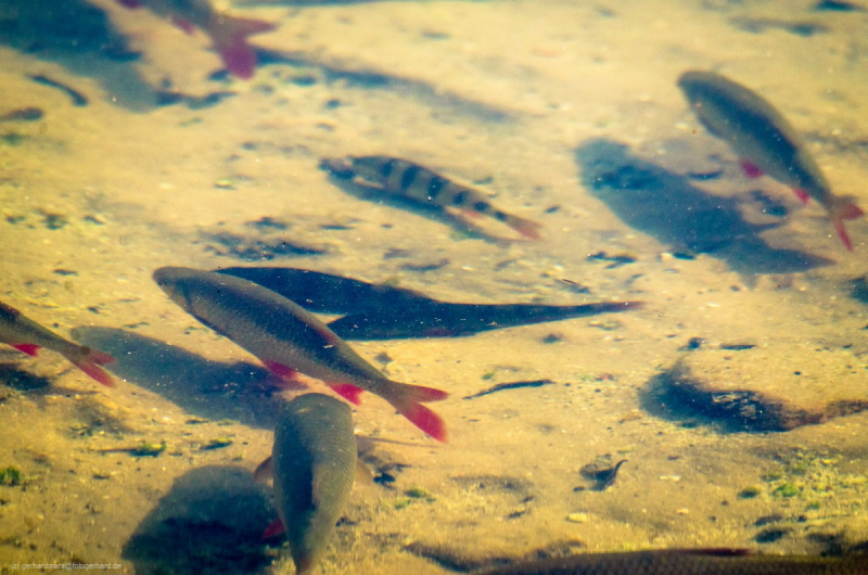 2016_09_11-14_14_34_16