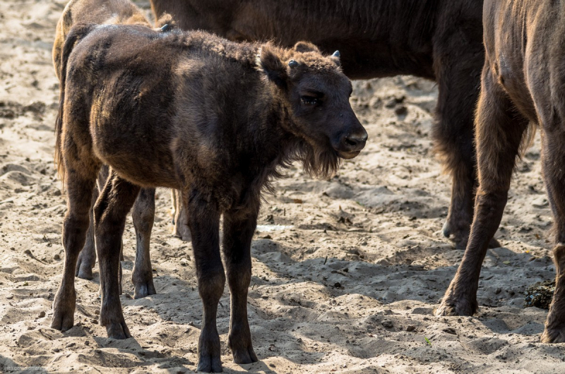 2016_09_11-14_55_47_23