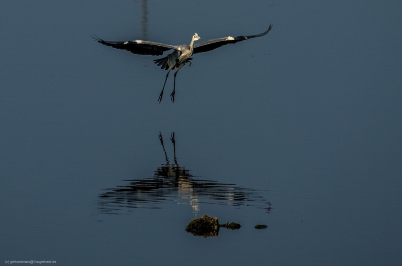 2016_09_12-12_45_11_33