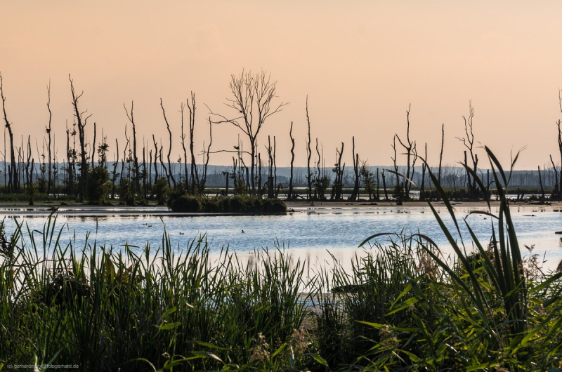 2016_09_12-17_29_15_23