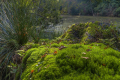 2014-11-01_16-32-16_-2_-3_tonemapped