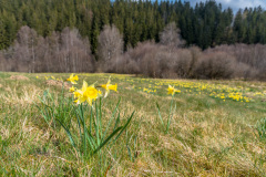 2022_04_27-11_47_09_1