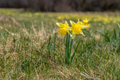 2022_04_27-11_47_50_2