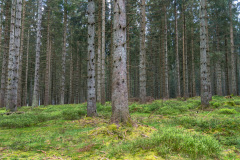 2022_04_27-12_34_06_3