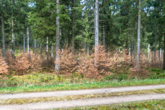 2022_04_27-12_35_24_4