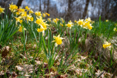 2022_04_27-12_57_59_5