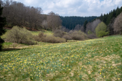 2022_04_27-13_29_56_6