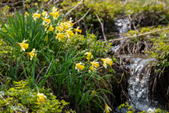 2022_04_27-13_31_40_7