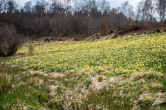 2022_04_27-13_33_55_8