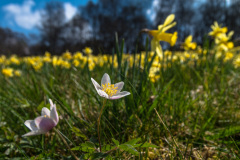 2022_04_27-13_46_35_10