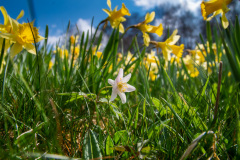 2022_04_27-13_47_25_11