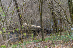 2022_04_27-14_01_33_14