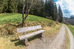 2022_04_27-14_32_40_16