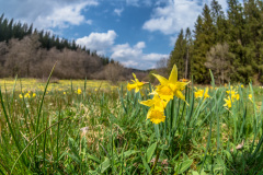 2022_04_27-14_36_39_17