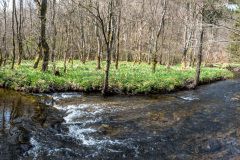 2022_04_27-14_44_33_18