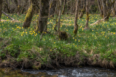 2022_04_27-14_44_53_19