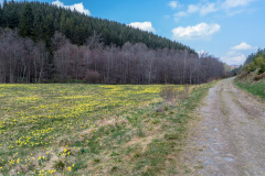 2022_04_27-14_57_53_20