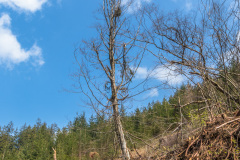 2022_04_27-15_01_25_21