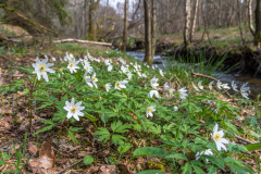 2022_04_27-15_31_07_25