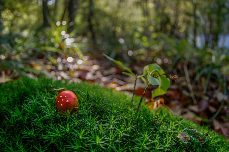 1_2014-10-19_14-47-05