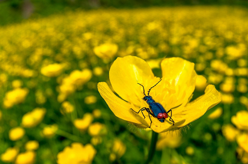 1_2015-05-23_11-53-20