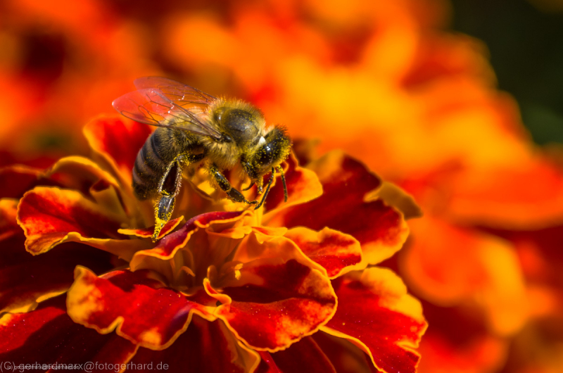 2014_09_14-13_39_04_8