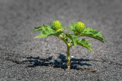 1_2016_08_26-12_03_11_1