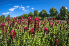 1_2019_05_15-16_22_31_3